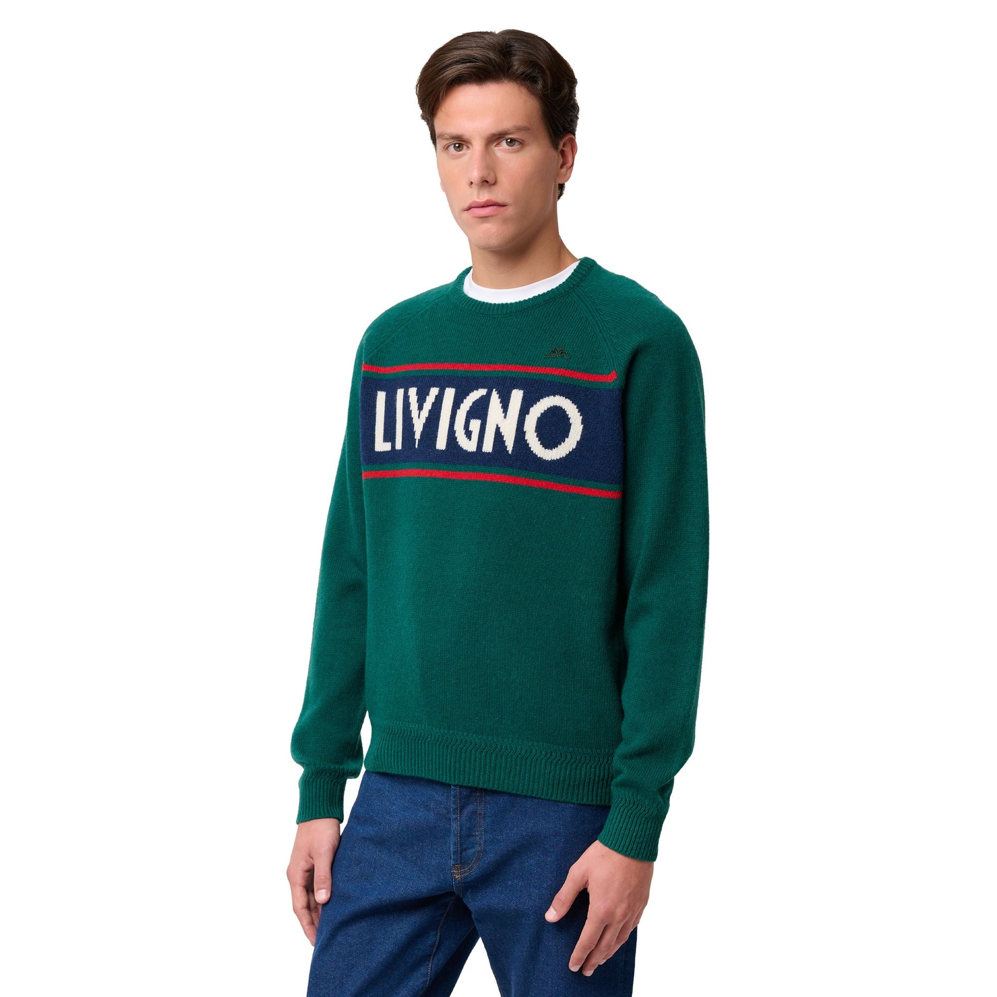 EROI KNIT LIVIGNO - KNITWEAR - Jumper - Man - GREEN-BLUE-RED-WHITE NATURAL - Image 6